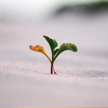 Qu’est-ce que le growth hacking? Qu’est-ce que le growth hacking?